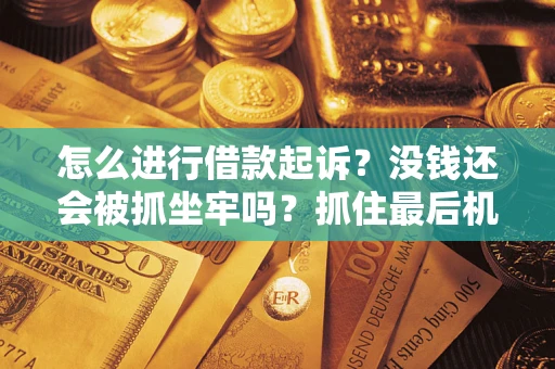 济南怎么进行借款起诉？没钱还会被抓坐牢吗？抓住最后机会！