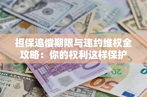 济南担保追偿期限与违约维权全攻略：你的权利这样保护