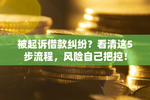 济南被起诉借款纠纷？看清这5步流程，风险自己把控！